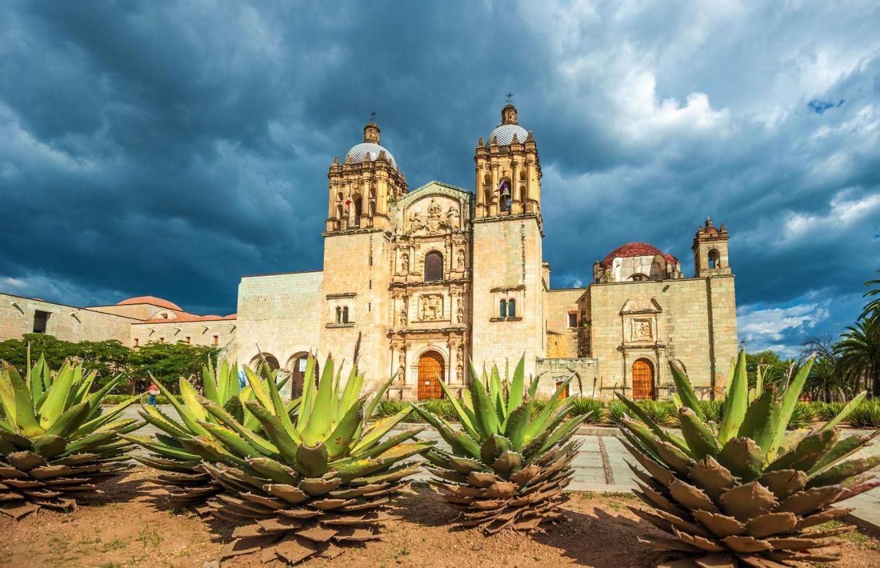 Departamentos Oaxaca Bonito Apartment ภายนอก รูปภาพ